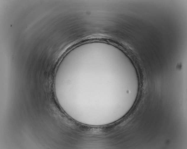 X0000115671313200911120957