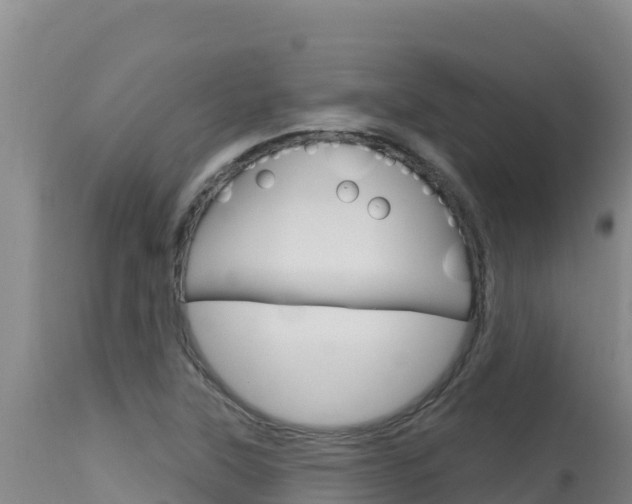 X0000115671315200911120957