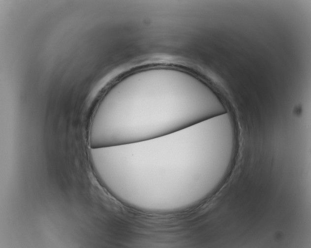 X0000115671318200911120957
