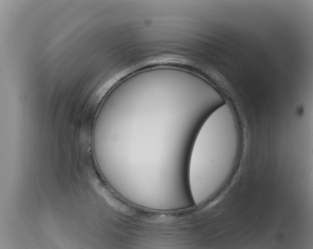 X0000115671321200911120957