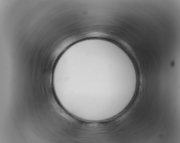 X0000115671322200911120957