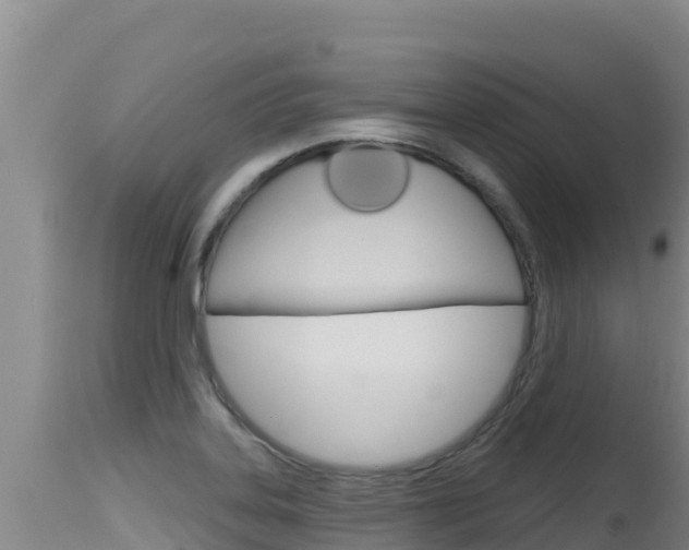 X0000115671323200911120957