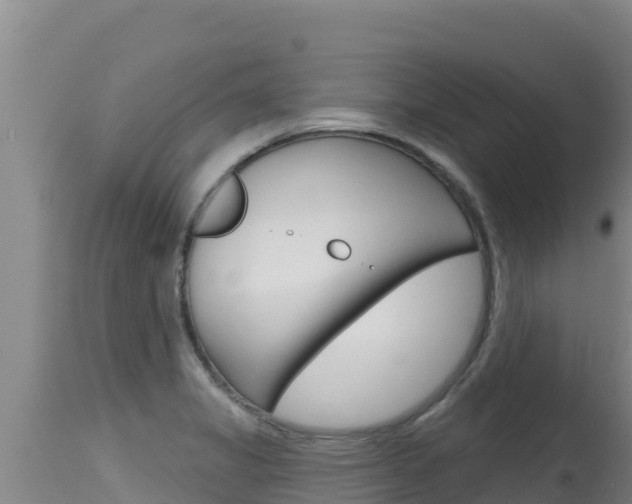 X0000115671325200911120957