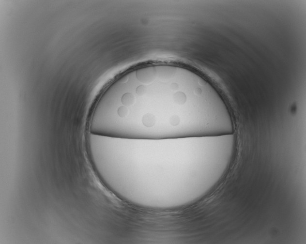 X0000115671327200911120957
