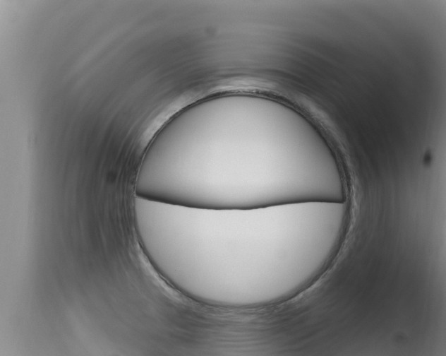 X0000115671329200911120957