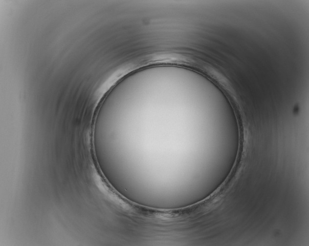 X0000115671330200911120957