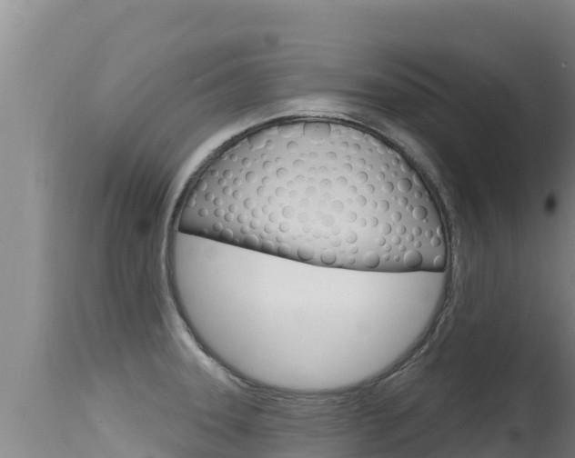 X0000115671331200911120957