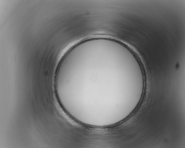 X0000115671333200911120957