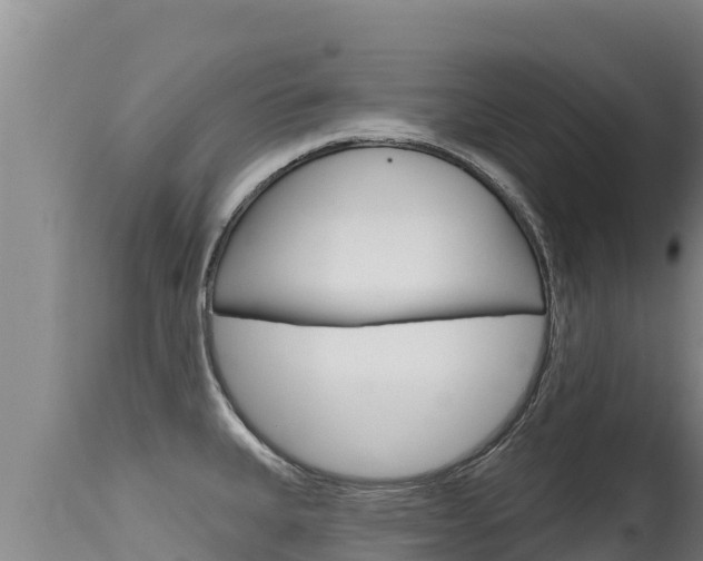 X0000115671335200911120957