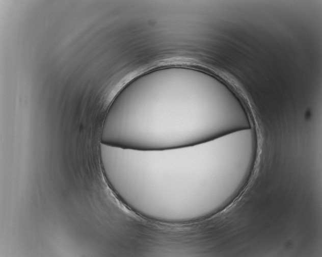 X0000115671337200911120957
