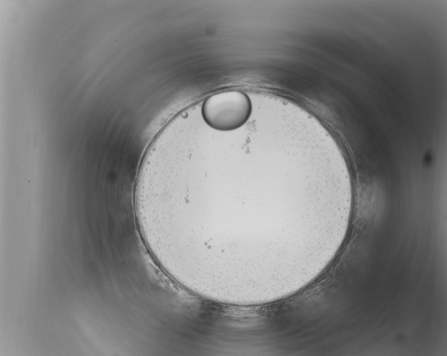 X0000115671338200911120957