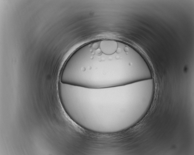 X0000115671339200911120957