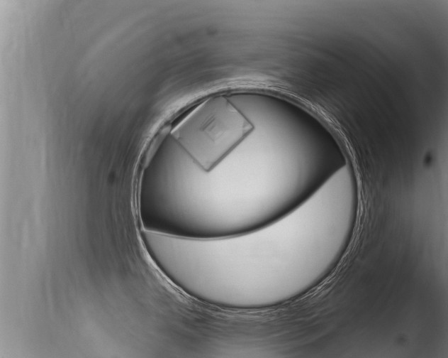 X0000115671342200911120957