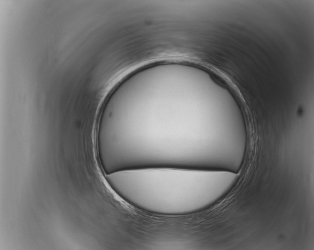 X0000115671343200911120957
