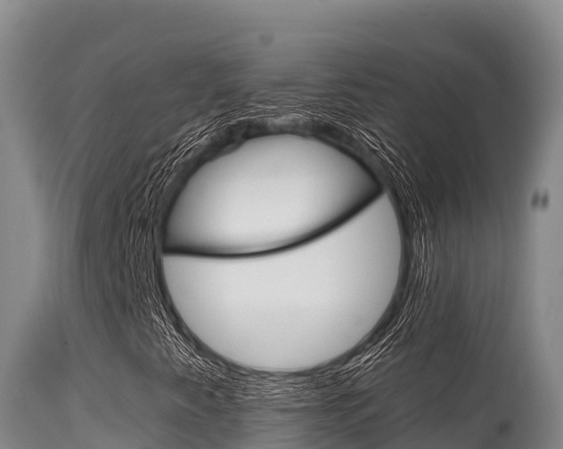 X0000115671345200911120957