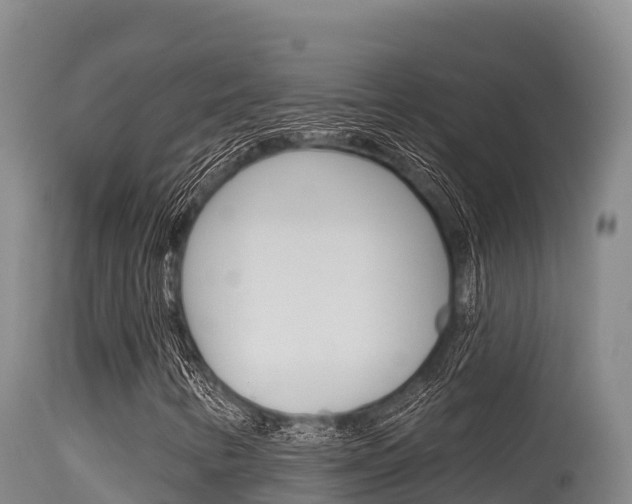 X0000115671346200911120957