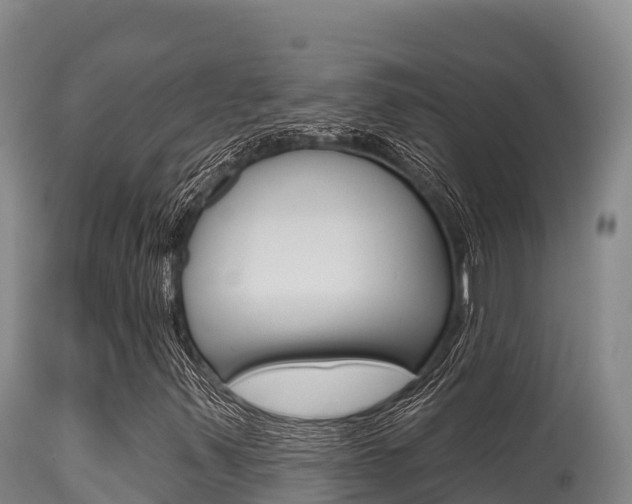 X0000115671347200911120957