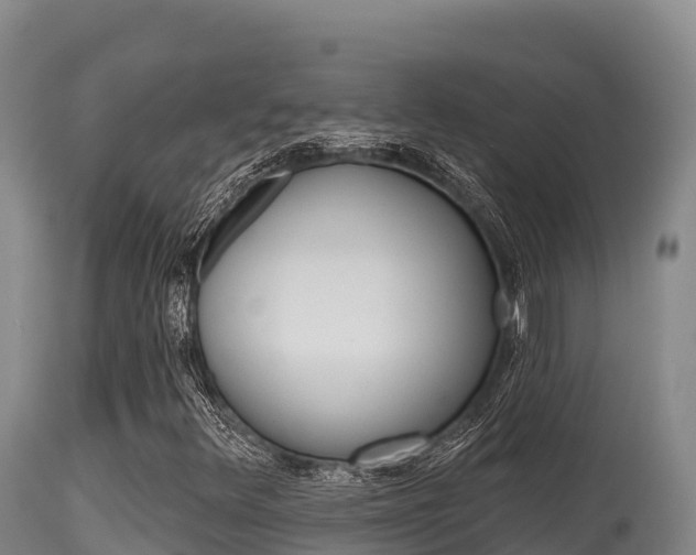 X0000115671348200911120957