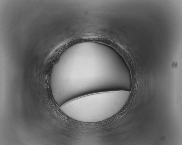 X0000115671351200911120957