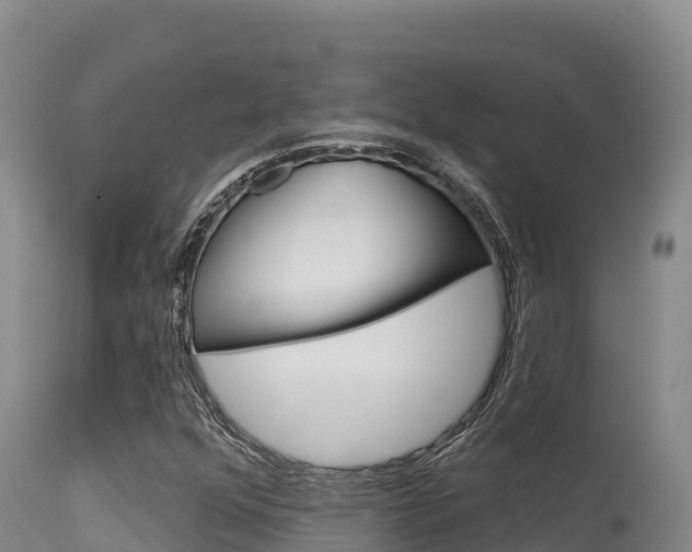 X0000115671352200911120957