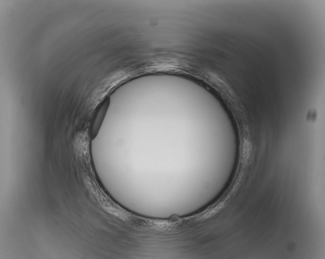 X0000115671353200911120957