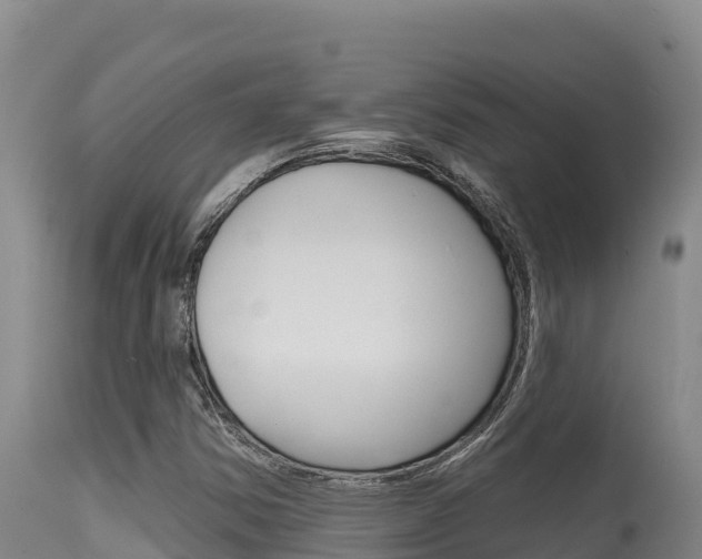 X0000115671354200911120957
