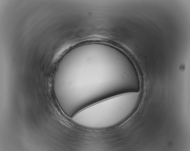X0000115671355200911120957
