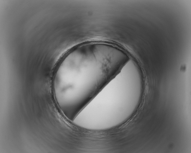 X0000115671356200911120957