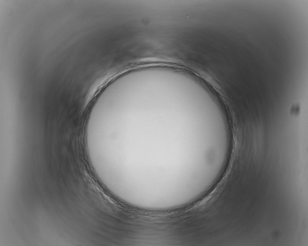 X0000115671357200911120957