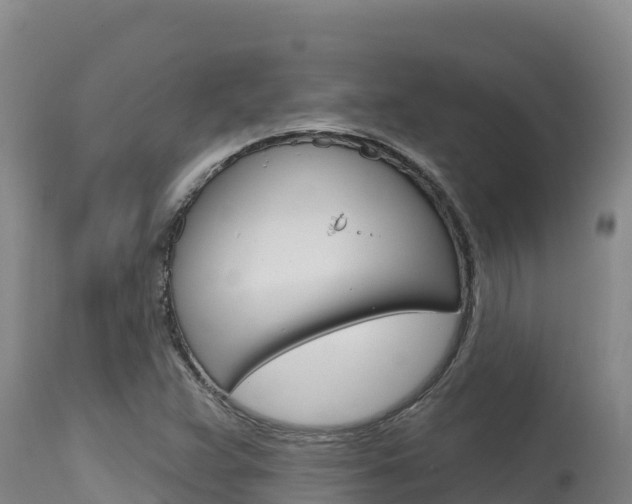 X0000115671359200911120957