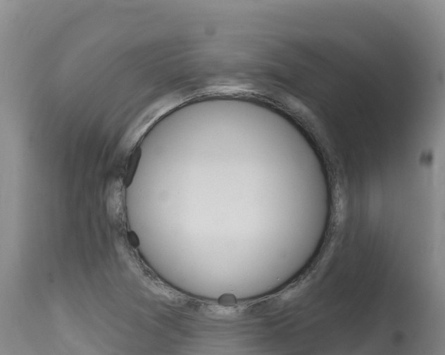 X0000115671361200911120957