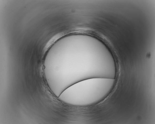 X0000115671362200911120957