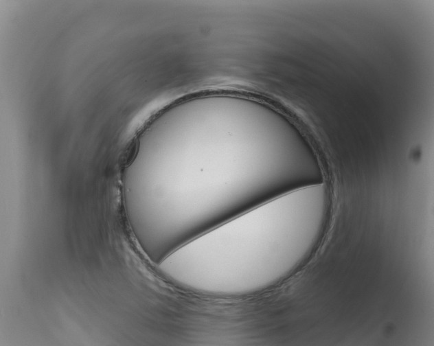 X0000115671363200911120957
