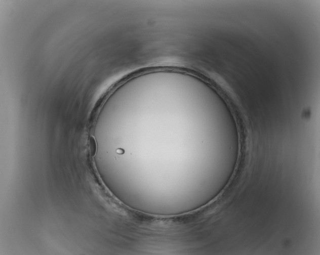 X0000115671364200911120957