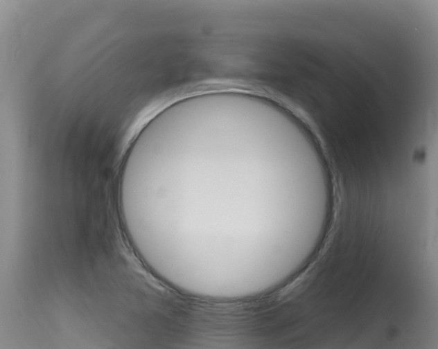 X0000115671365200911120957