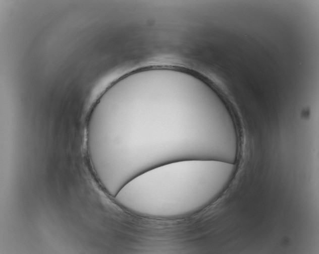 X0000115671366200911120957