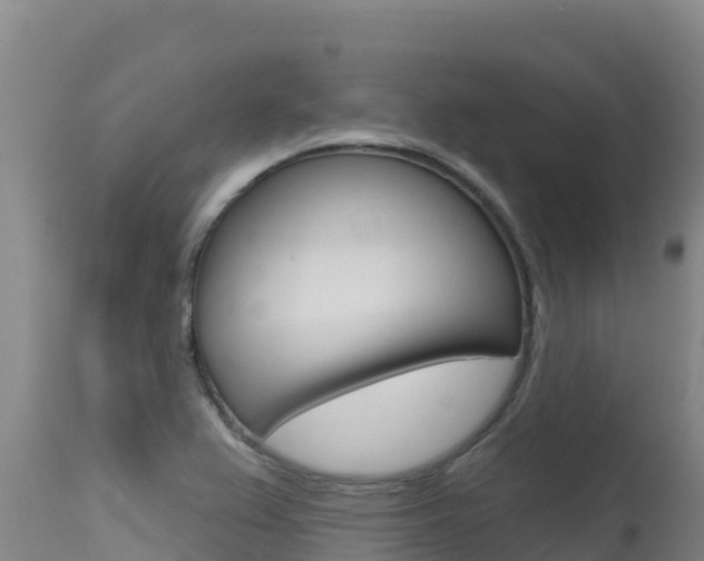 X0000115671367200911120957