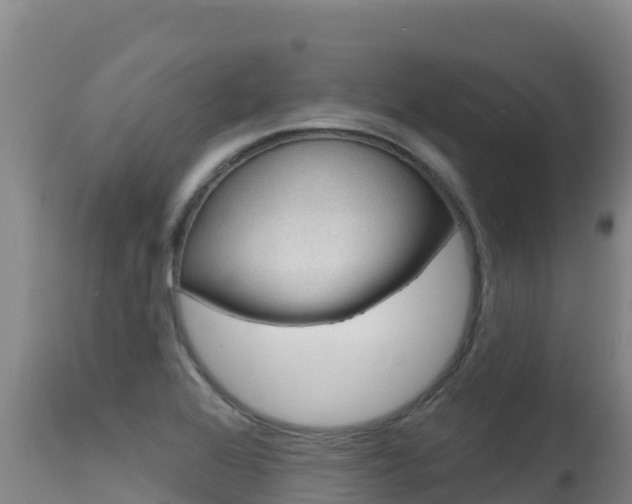 X0000115671368200911120957