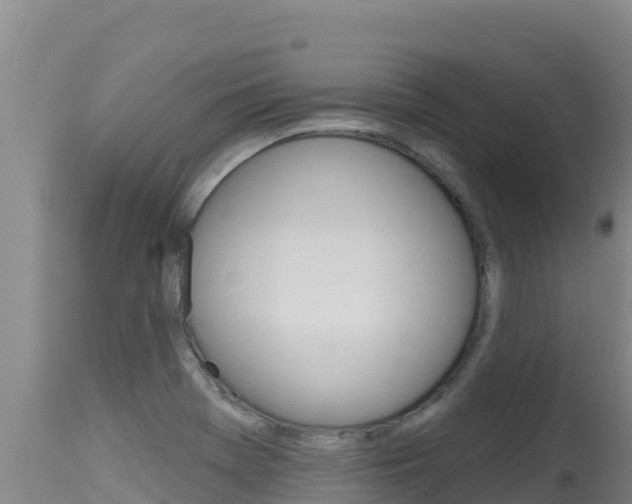 X0000115671369200911120956
