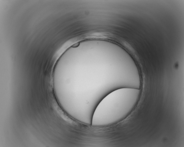 X0000115671370200911120956