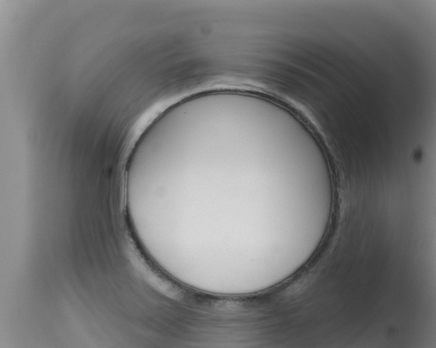 X0000115671371200911120956