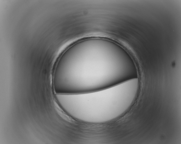X0000115671372200911120956