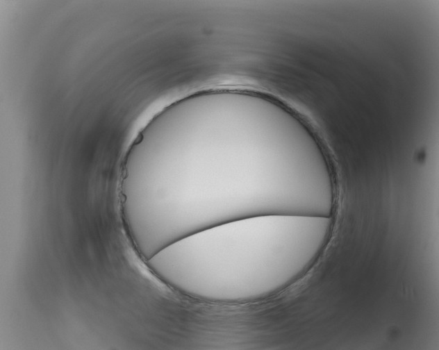 X0000115671374200911120956