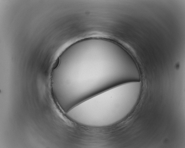X0000115671375200911120956