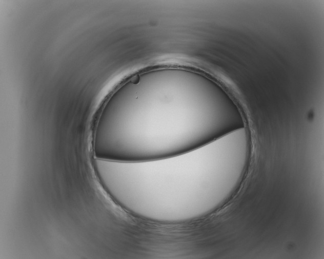 X0000115671376200911120956