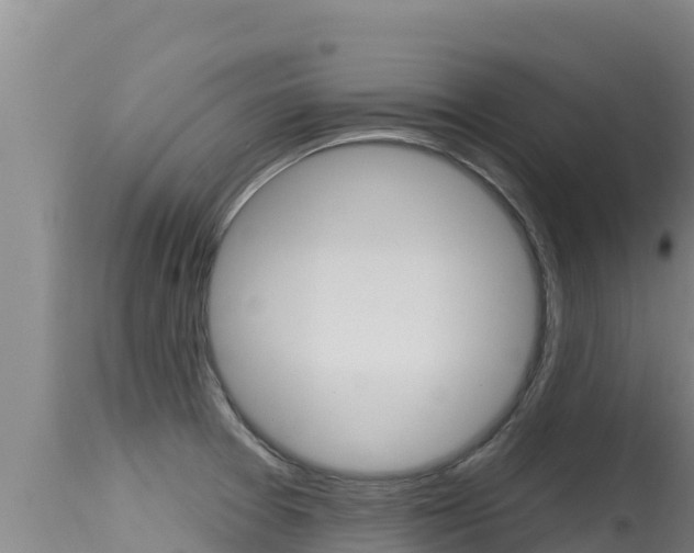 X0000115671377200911120956