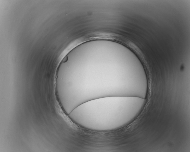 X0000115671378200911120956