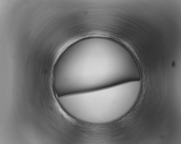 X0000115671379200911120956