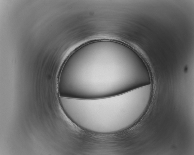 X0000115671380200911120956