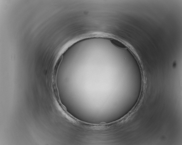 X0000115671381200911120956